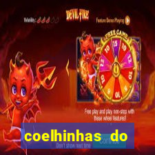 coelhinhas do brasil site